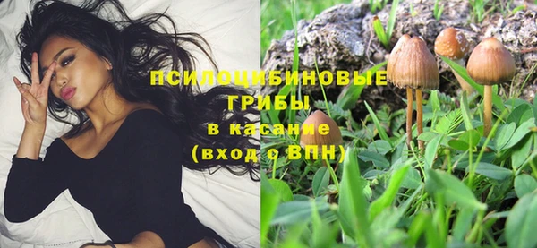 спиды Верея
