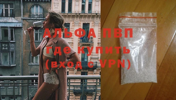 спиды Верея