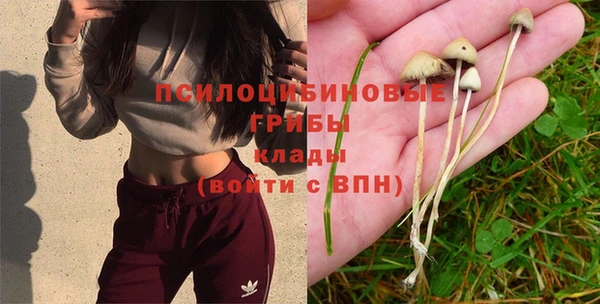 PSILOCYBIN Верхнеуральск